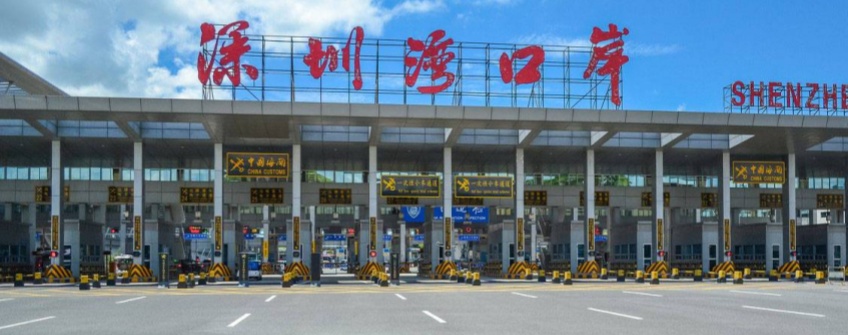 惊蛰春耕忙 种子通关畅：云顶集团进出口护航春耕物资“附前提提离”